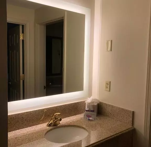 キングサイズベッドのデラックススイート, The Cook Hotel And Conference Center At Lsu