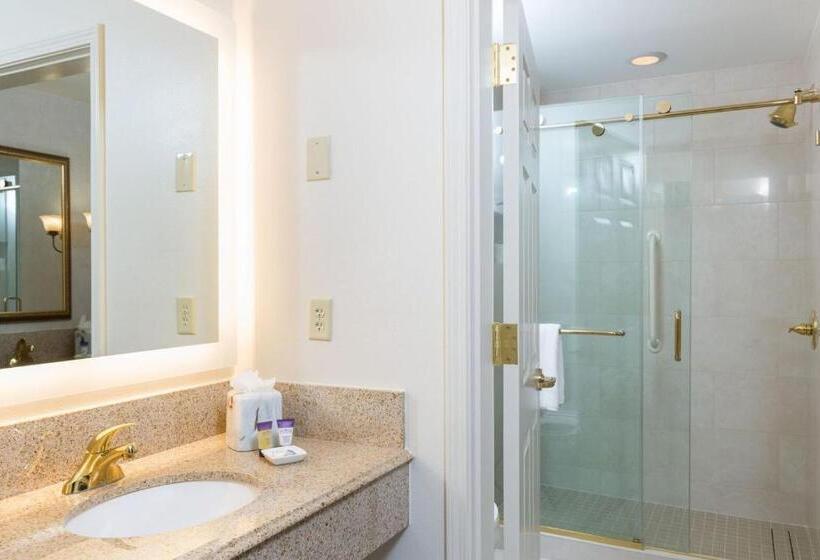 اتاق لوکس, The Cook Hotel And Conference Center At Lsu