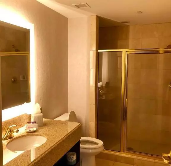 エクゼクティブスイート, The Cook Hotel And Conference Center At Lsu