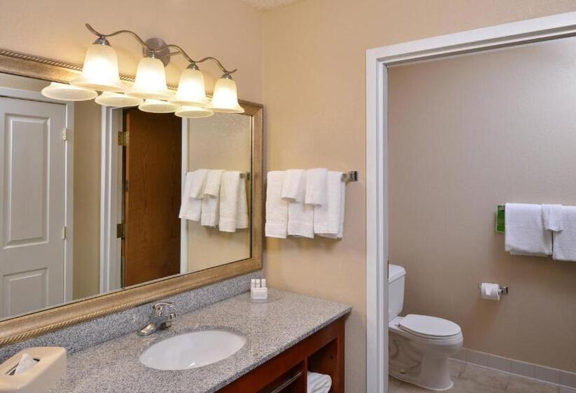 إستوديو قياسى سرير كينج, Towneplace Suites Detroit Warren