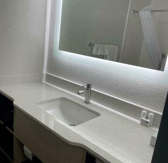 غرفة قياسية سرير ملكى لذوى الإحتياجات الخاصة, Wingate By Wyndham Savannah Gateway