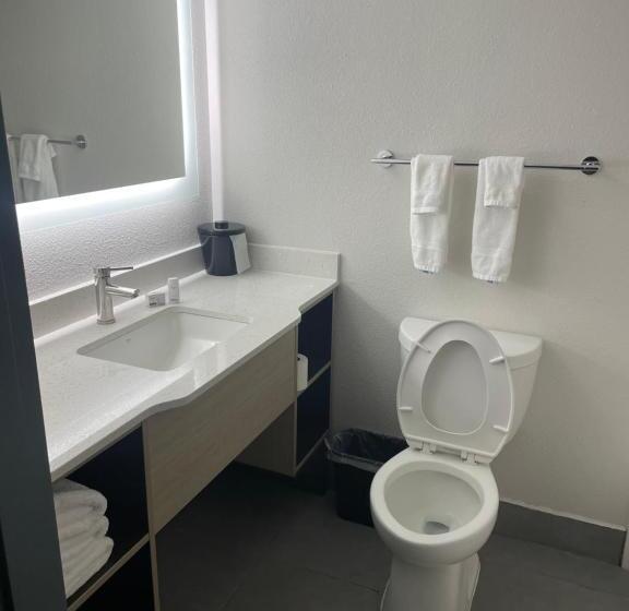 جناح سرير كينج, Wingate By Wyndham Savannah Gateway