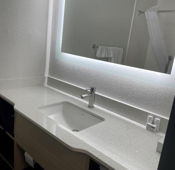 غرفة قياسية سرير كينج, Wingate By Wyndham Savannah Gateway