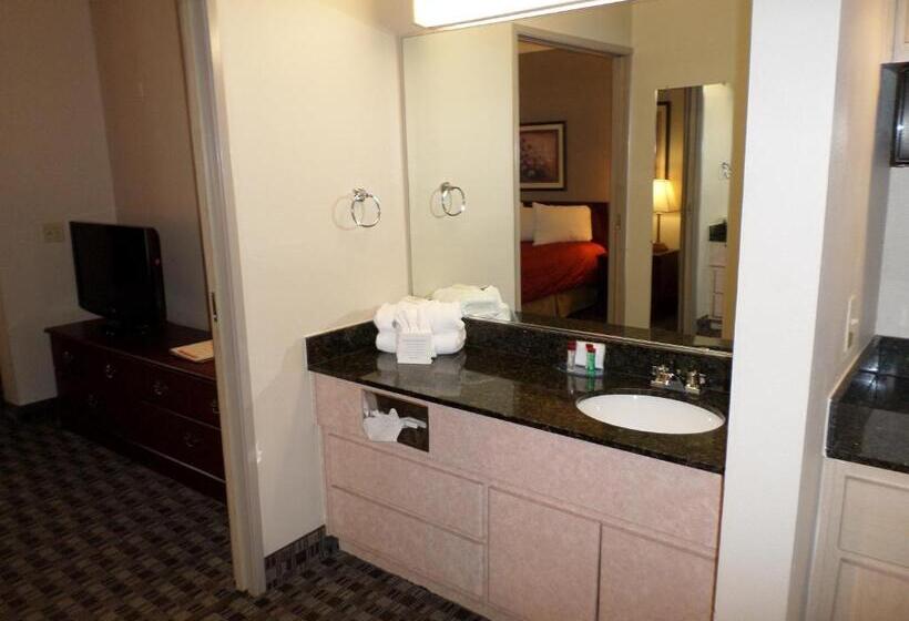 이그제큐티브 스위트 킹침대, Wingate By Wyndham Canton Hall Of Fame