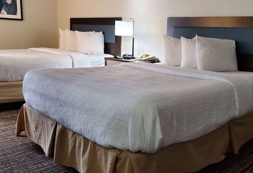 스위트, Wingate By Wyndham Canton Hall Of Fame