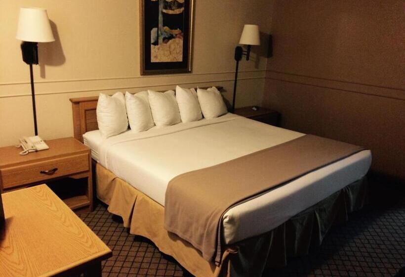 スタンダードシングルルーム, Adventure Inn   Glenwood Springs