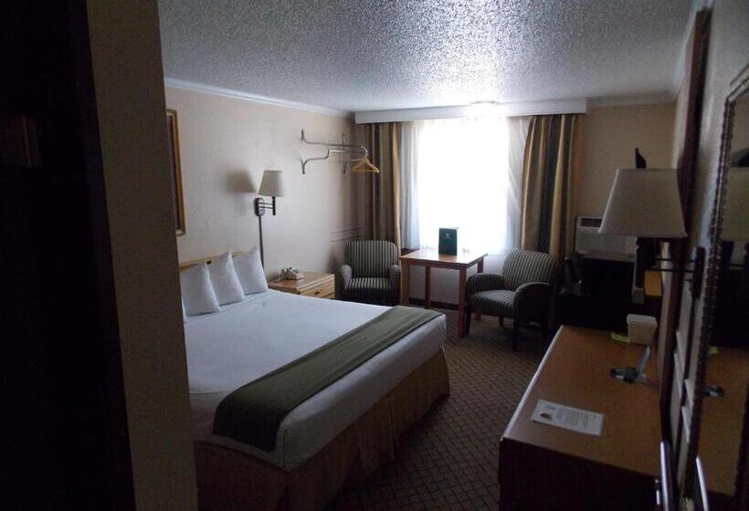 キングサイズベッドのスタンダードルーム, Adventure Inn   Glenwood Springs