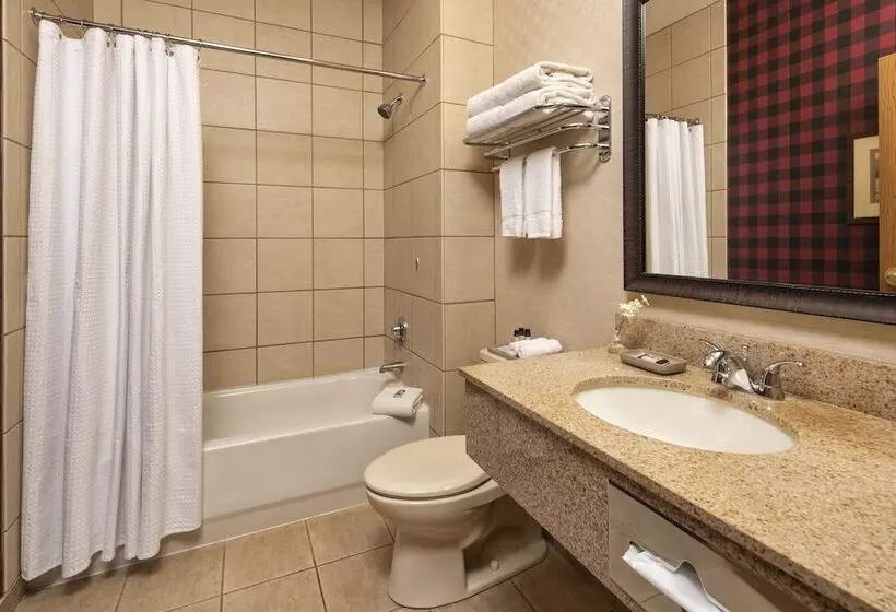 デラックスルーム, Bantr Grand Hotel Wausau   Rothschild