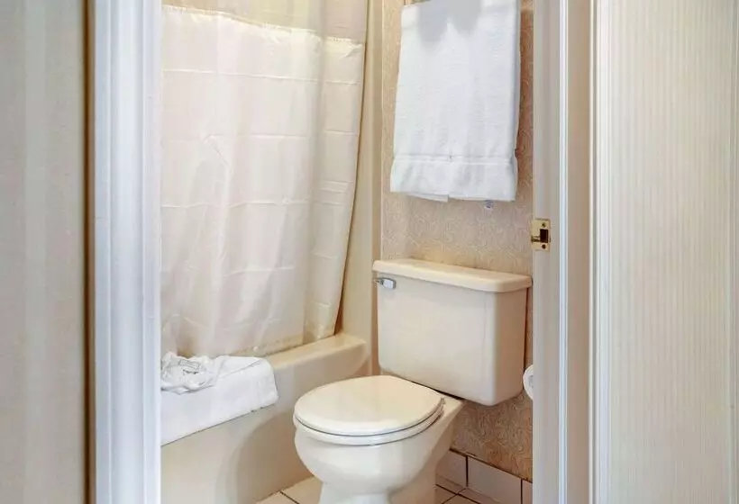 身障者適用スタンダードルーム, Wintergreen Hotel & Conference Center