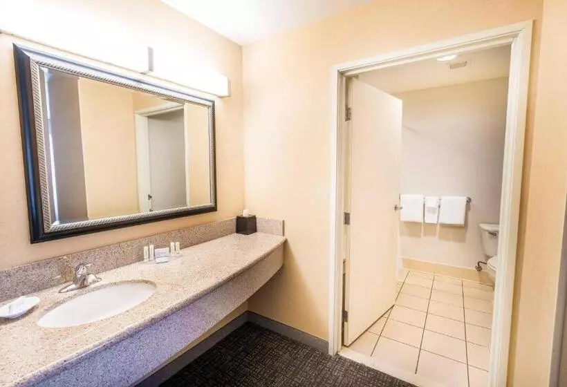 キングサイズベッドのスイートルーム, Courtyard By Marriott Kingston