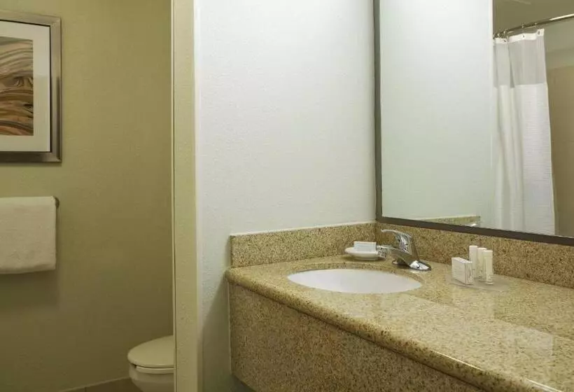 スタンダードルーム, Courtyard By Marriott Little Rock Downtown