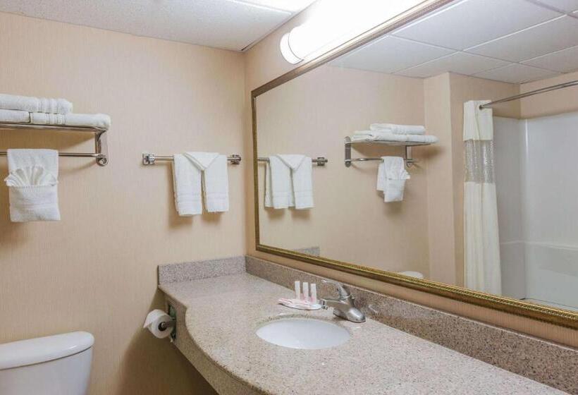 غرفة قياسية سرير كينج, Days Inn By Wyndham Budd Lake