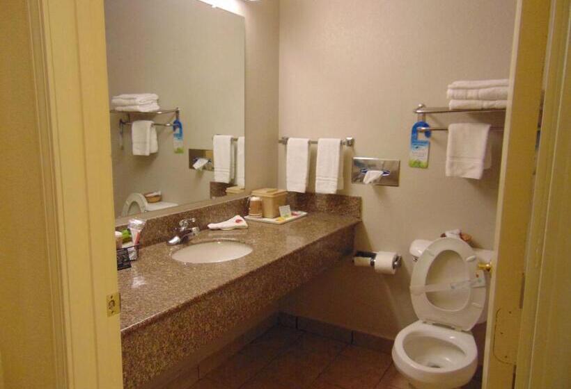 带大床的标准间, Days Inn By Wyndham Fordyce