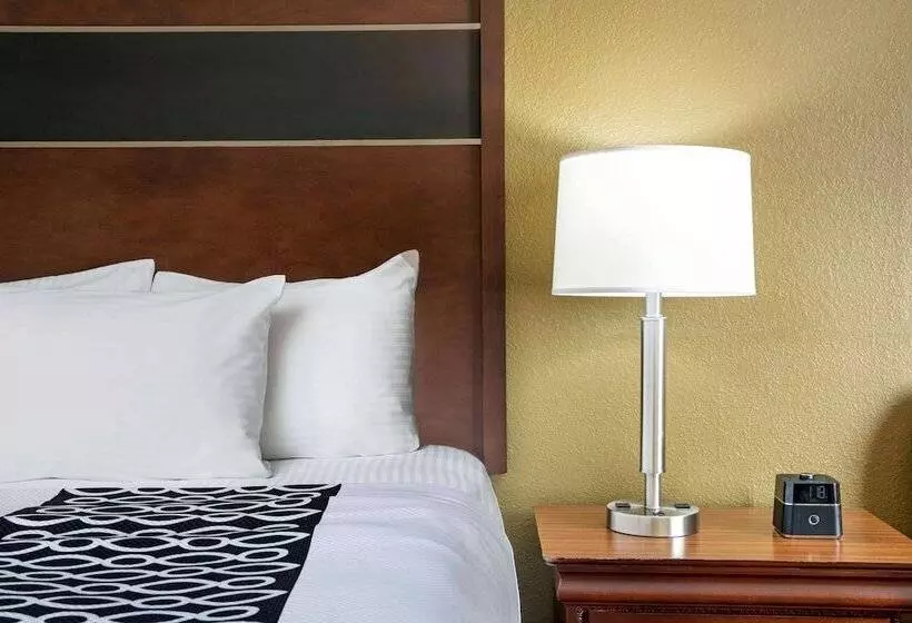 キングサイズベッドのスイートルーム, La Quinta By Wyndham Oxford   Anniston