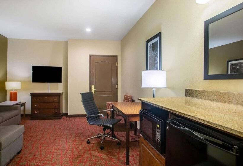 스위트 킹사이즈 침대, La Quinta By Wyndham Oxford   Anniston