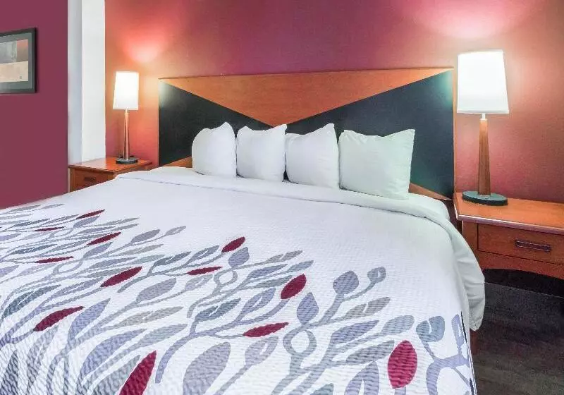 キングサイズベッドのデラックスルーム, Red Roof Inn Etowah – Athens, Tn