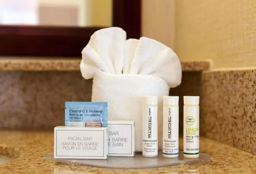 クイーンベッドのスタンダードスタジオ, Springhill Suites Charlotte Lake Norman/mooresville