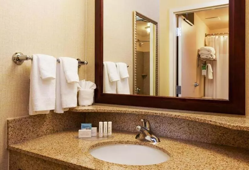 クイーンベッドのスタンダードスタジオ, Springhill Suites Charlotte Lake Norman/mooresville