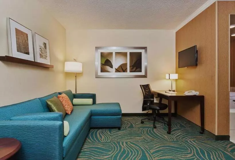 クイーンベッドのスタンダードスタジオ, Springhill Suites Charlotte Lake Norman/mooresville