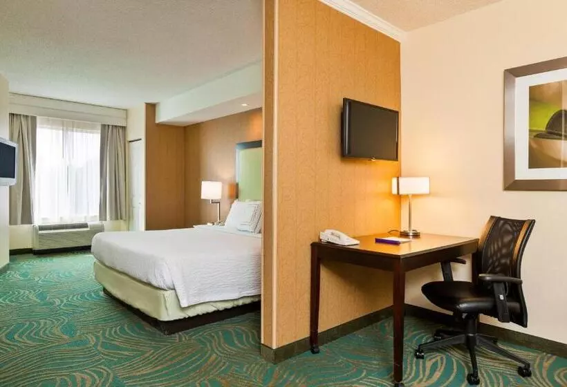 キングサイドベッドのスタンダードワンルーム, Springhill Suites Charlotte Lake Norman/mooresville