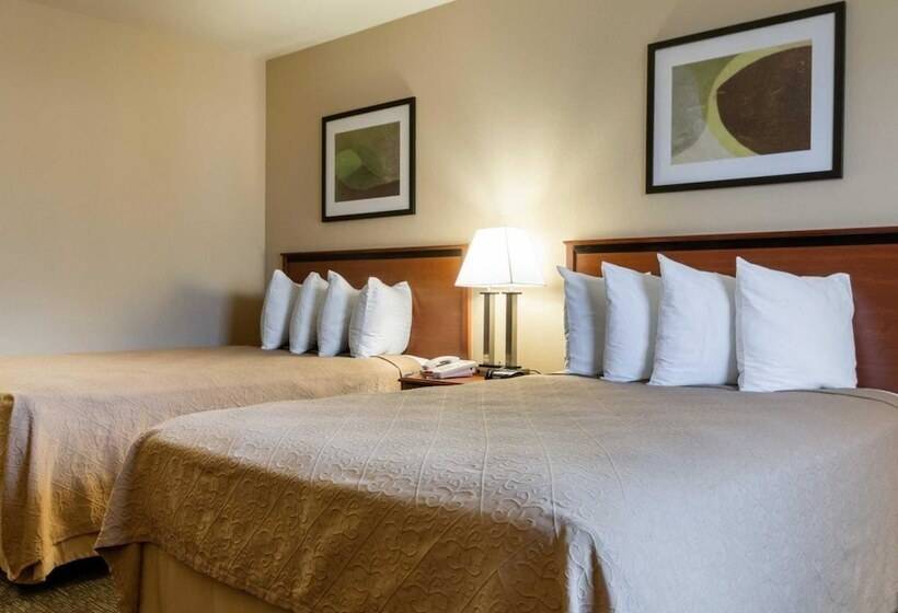 带2个双人床的标准工作室, Motel 6 Junction, Texas   Llano River