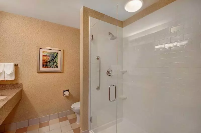 キングサイドベッドのスタンダードワンルーム, Fairfield Inn & Suites By Marriott Detroit Metro Airport Romulus