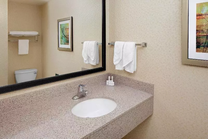 キングサイドベッドのスタンダードワンルーム, Fairfield Inn & Suites By Marriott Detroit Metro Airport Romulus