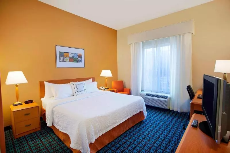 キングサイズベッドのスタンダードルーム, Fairfield Inn & Suites By Marriott Detroit Metro Airport Romulus