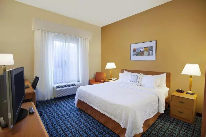 キングサイズベッドのスタンダードルーム, Fairfield Inn & Suites By Marriott Detroit Metro Airport Romulus
