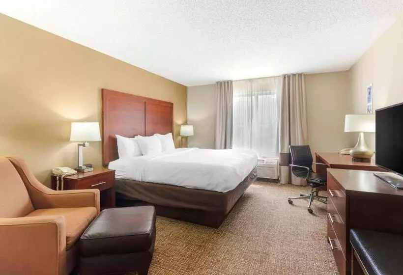 キングサイズベッドのスタンダードルーム, Comfort Inn & Suites