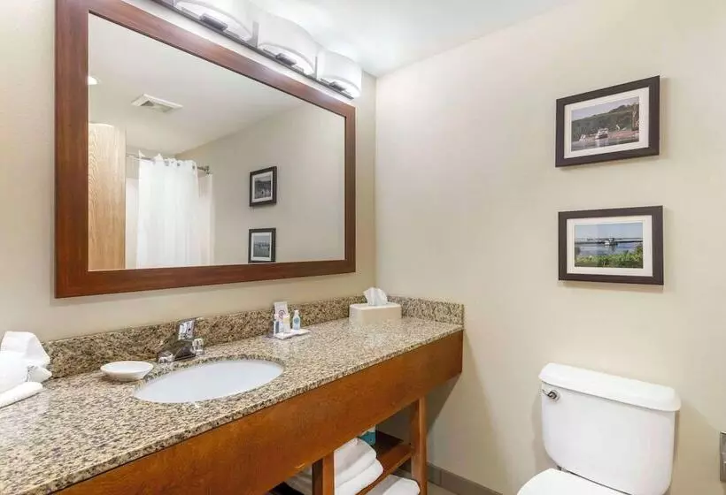 スイート, Comfort Inn & Suites
