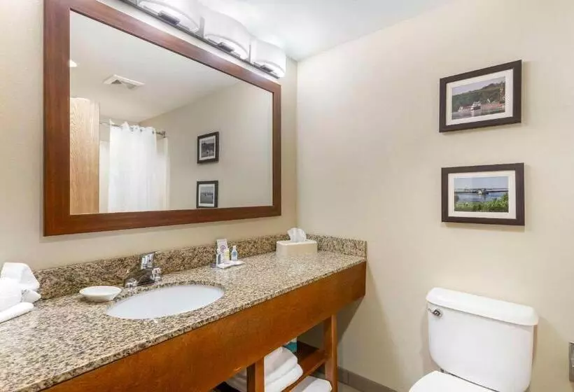 キングサイズベッドのスタンダードルーム, Comfort Inn & Suites