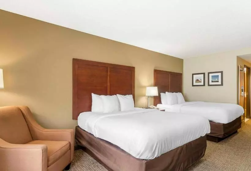 スタンダードルーム, Comfort Inn & Suites