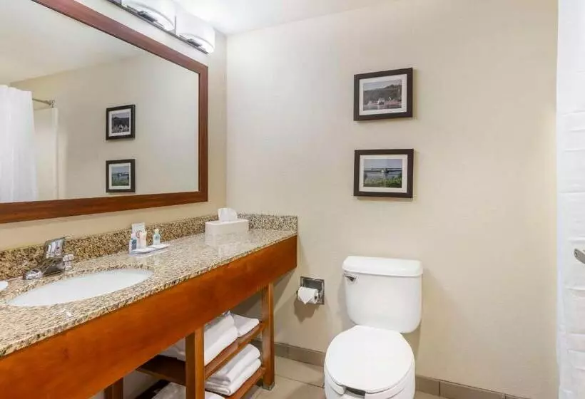 スタンダードルーム, Comfort Inn & Suites