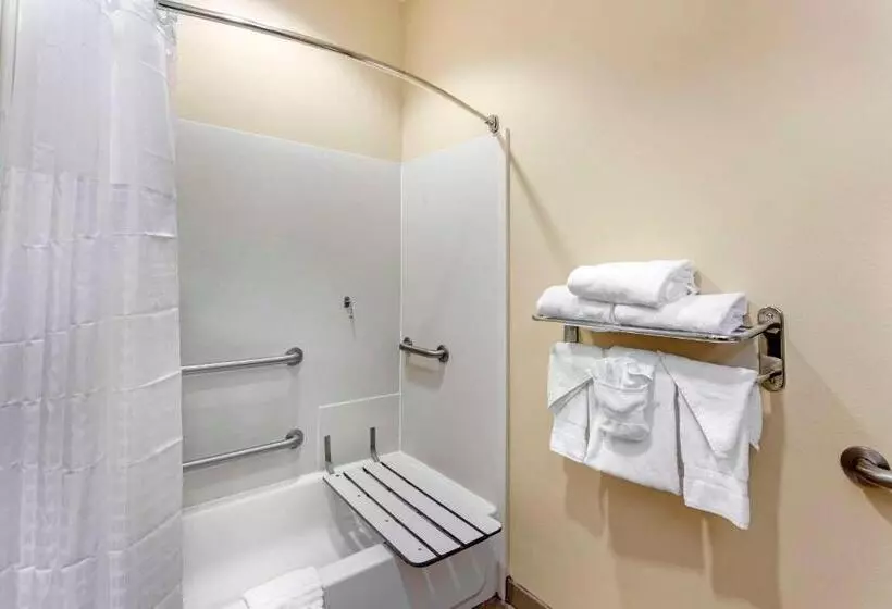 身障者適用キングサイズベッドルーム, Comfort Inn & Suites