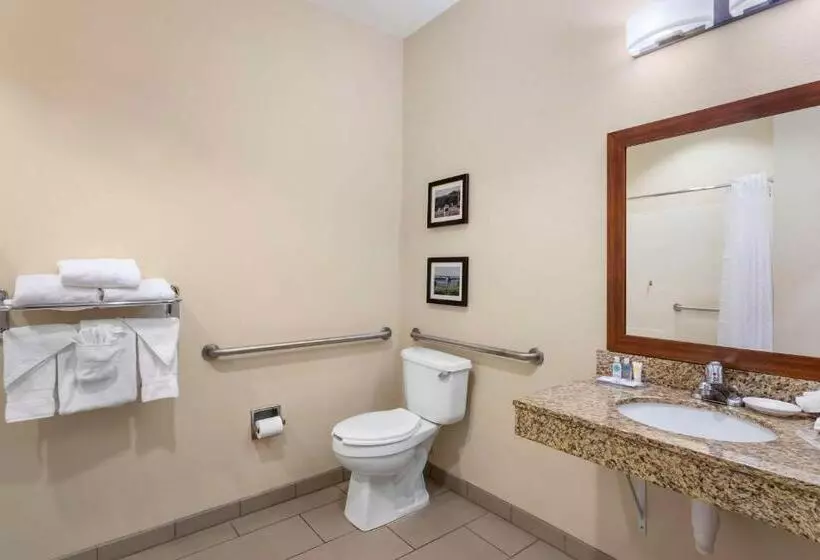 身障者適用キングサイズベッドルーム, Comfort Inn & Suites