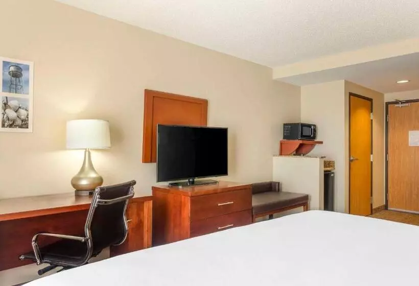 身障者適用キングサイズベッドルーム, Comfort Inn & Suites