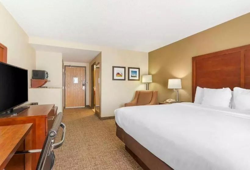 身障者適用キングサイズベッドルーム, Comfort Inn & Suites