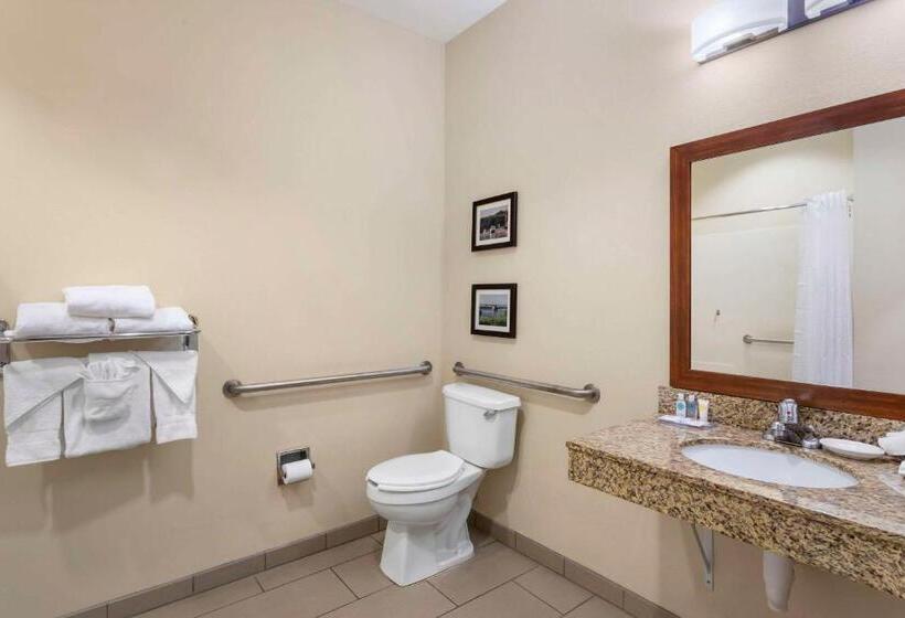 جناح لذوى الاحتياجات الخاصة, Comfort Inn & Suites