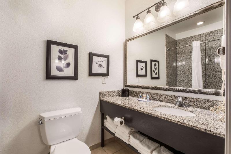 غرفة قياسية سرير كينج, Comfort Inn & Suites