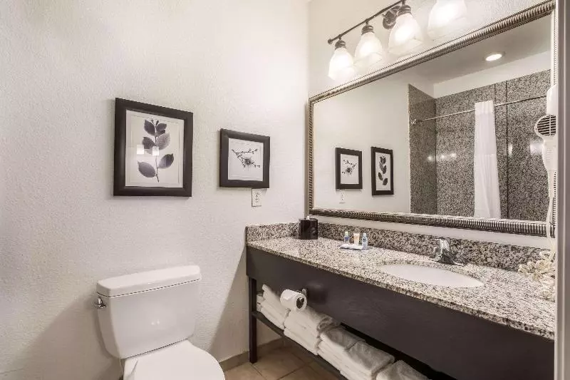 Standard-huone King-vuode, Comfort Inn & Suites