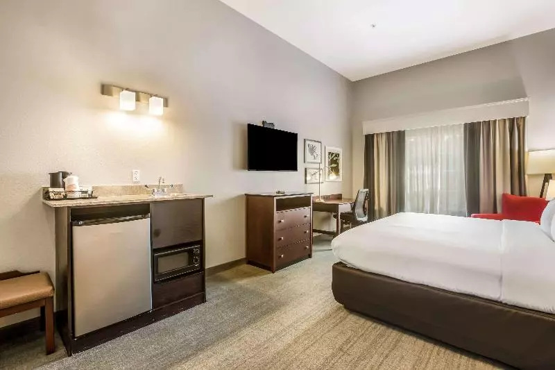 Standard-huone King-vuode, Comfort Inn & Suites