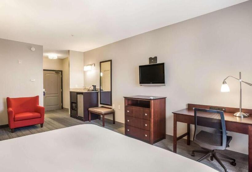 غرفة قياسية سرير كينج, Comfort Inn & Suites