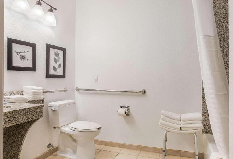 غرفة قياسية سرير كينج, Comfort Inn & Suites