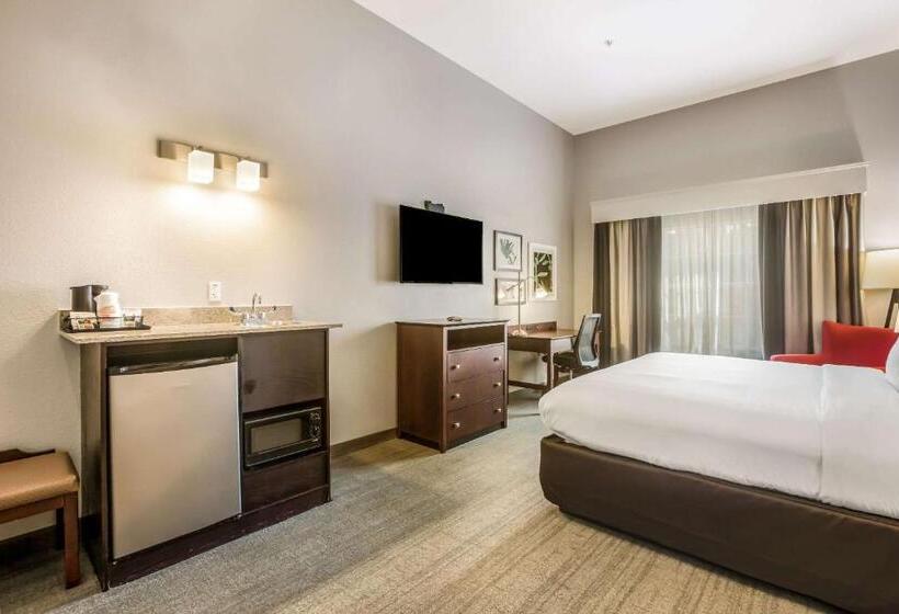 Стандартный Номер Кровать Кинг, Comfort Inn & Suites