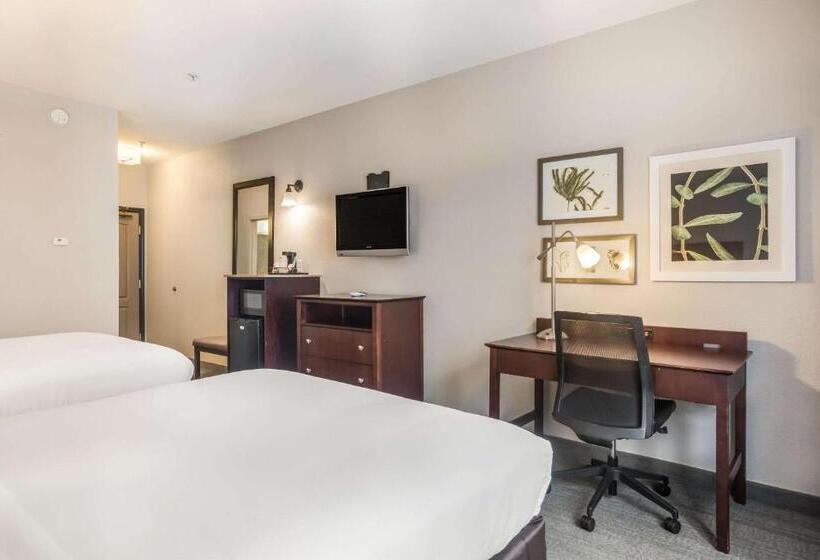 Номер Стандарт, Comfort Inn & Suites