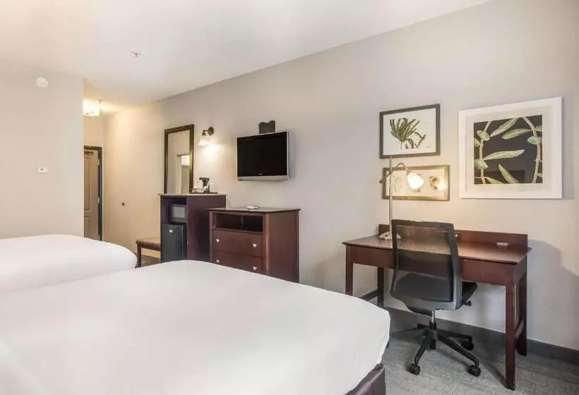 Standard-huone, Comfort Inn & Suites