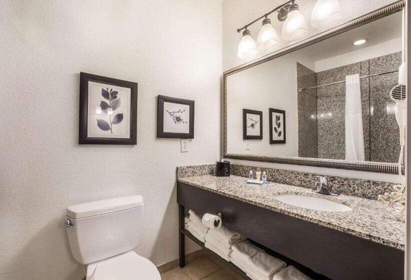 Люкс, Comfort Inn & Suites