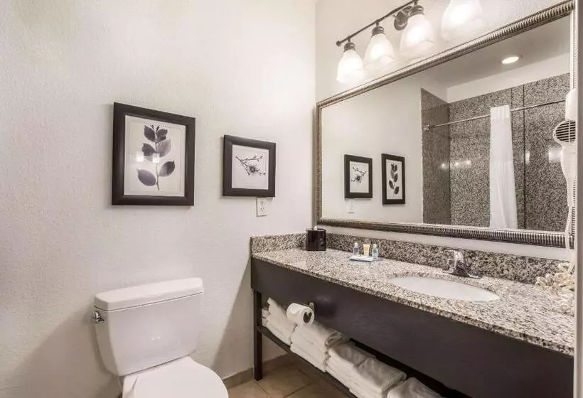 Sviitti, Comfort Inn & Suites