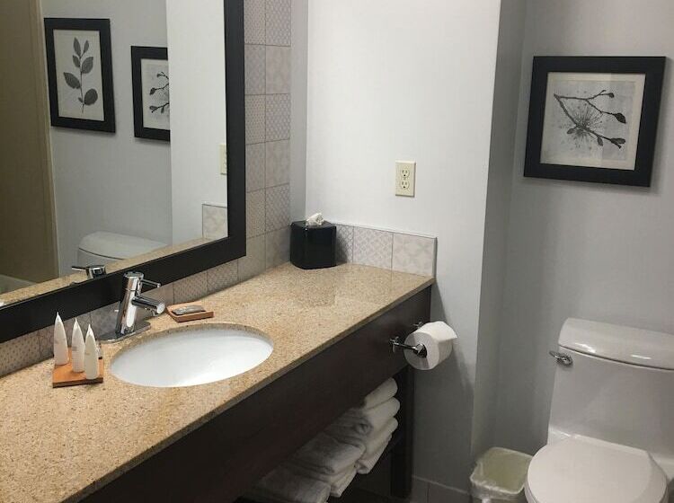 Люкс, Country Inn & Suites By Radisson, Grand Rapids East, Mi